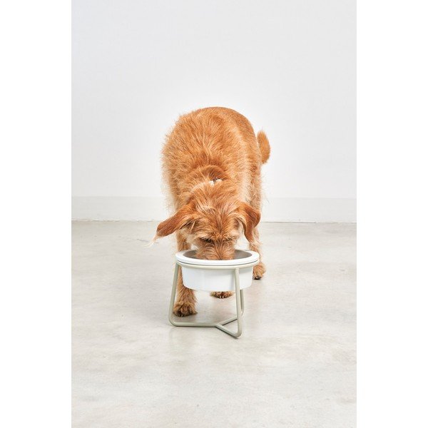 Ciotola con supporto in porcellana per cane ø 20 cm Pranzo Greige M – MiaCara-image-2