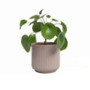 Vaso in ceramica ø 15 cm Luna - Artevasi