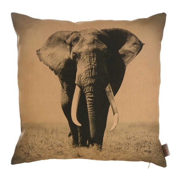 Federa Mike & Co. NEW YORK Elefante africano, 43 x 43 cm - Mike & Co. NEW YORK