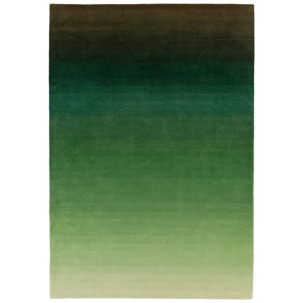 Tappeto grigio-verde , 160 x 230 cm Ombre - Asiatic Carpets