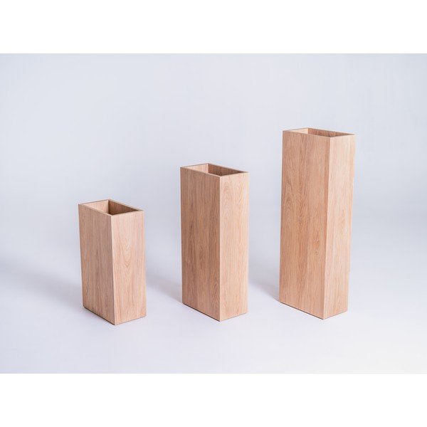 Coprivaso Palmus - CustomForm-image-2