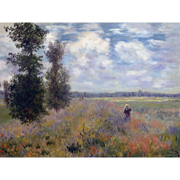 Immagine , 60x45 cm Claude Monet - Poppy Fields near Argenteuil - Fedkolor