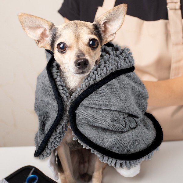 Asciugamano per animali domestici – Love Story-image-1