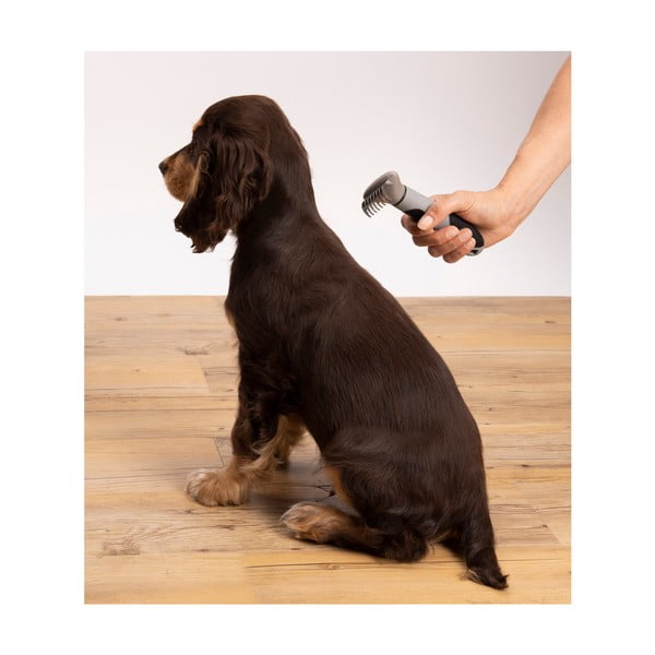 Taglianodi – Love Story-image-3