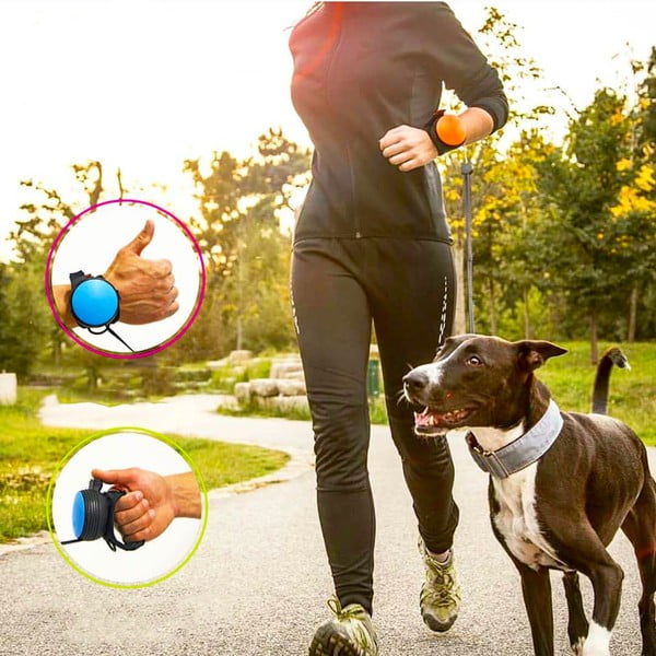 Guinzaglio nero taglia M 3 - Lishinu-image-2