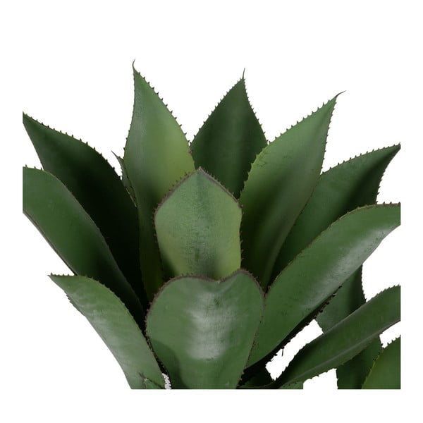Pianta artificiale (altezza 120 cm) Agave - Ixia-image-2