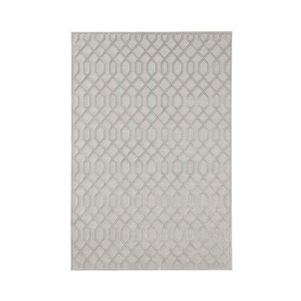 Tappeto grigio in viscosa, 80 x 125 cm Caine - Mint Rugs