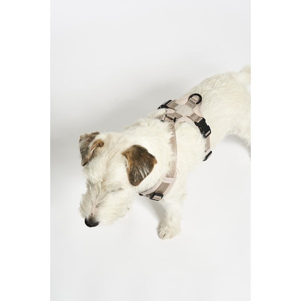 Pettorina beige taglia S lunghezza 30 cm Modena Greige S - MiaCara-image-2