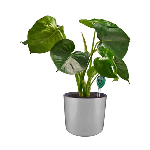 Misuratore pH del suolo – Garden Pleasure-image-1