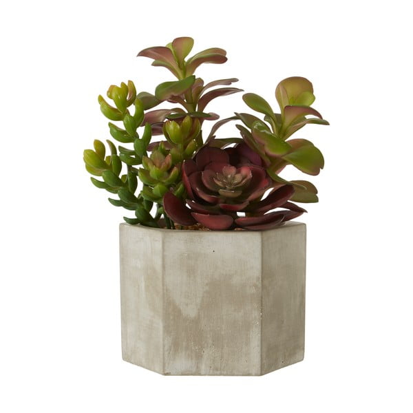 Succulenta artificiale in vaso di ceramica grigio Fiori - Premier Housewares