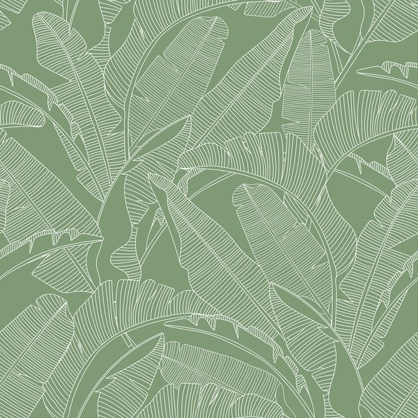 Carta da parati 100 cm x 280 cm Palm Leaves - Dekornik