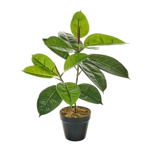 Ficus artificiale (altezza 50 cm) - Casa Selección