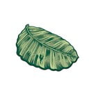 Tappetino da bagno verde 60x100 cm Sheet - Foutastic