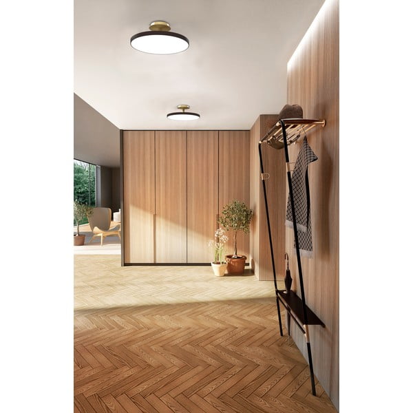 Antracite Apparecchio da soffitto a LED ø 60 cm Asteria Up - UMAGE-image-3