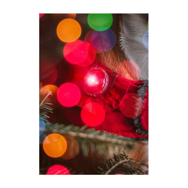 Luce per collare a LED Red - Orbiloc-image-4