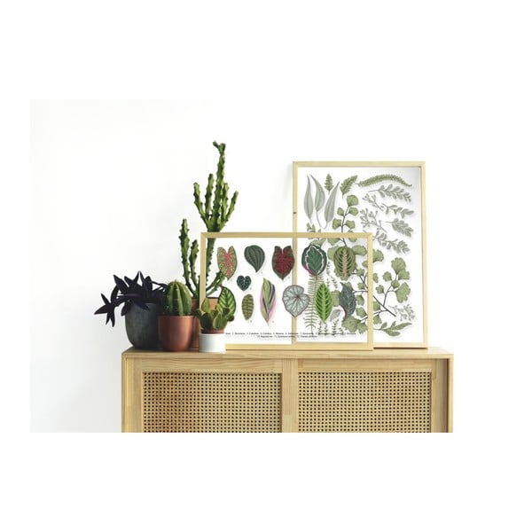 Quadro con cornice in legno di pino Collezione Leafes, 50 x 70 cm Leaves Collection - Surdic-image-1