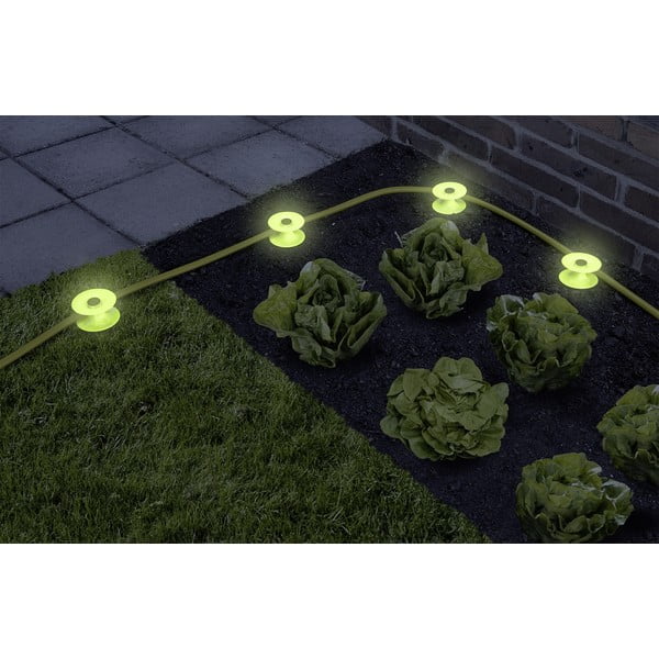 Portagomma in set da 2 - Maximex-image-2