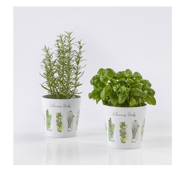 Coprivaso in ceramica 2 pz per erbe aromatiche ø 14 cm Dalllas Culinary - Big pots-image-1