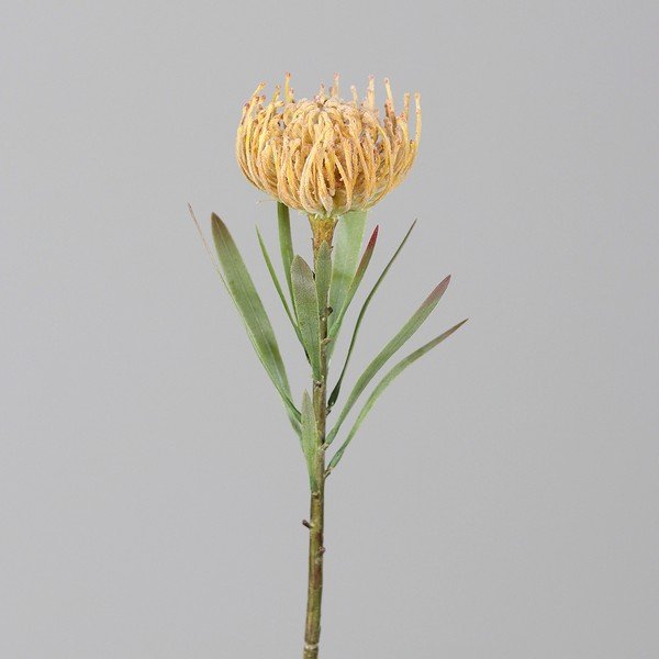 Fiore artificiale (altezza totale 43 cm) Protea – Ego Dekor