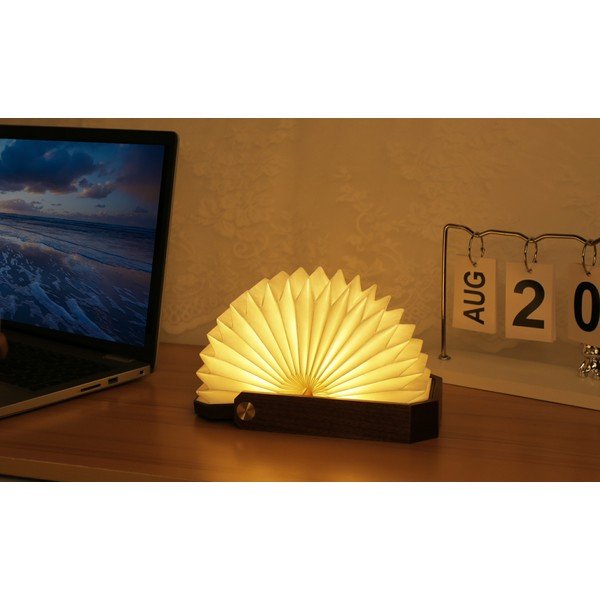 Decorazione luminosa bianca/colore naturale scuro con ricarica USB Origami – Gingko-image-4