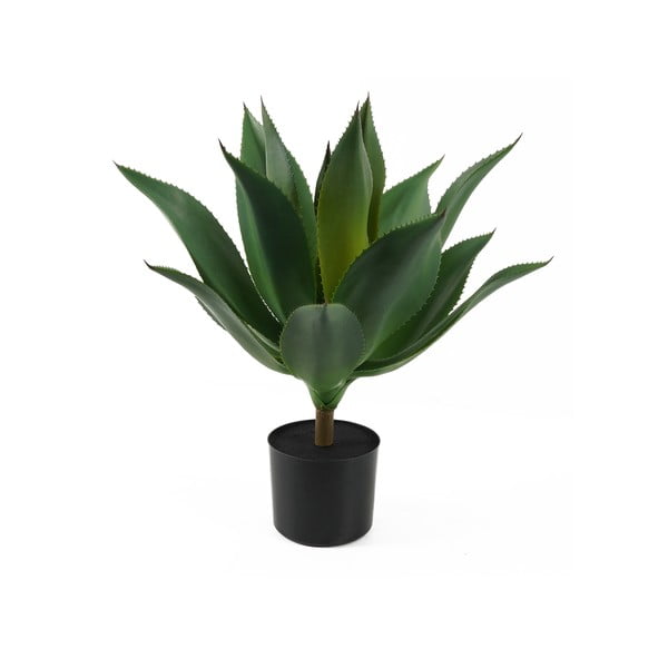 Succulenta artificiale (altezza 56 cm) - PT LIVING