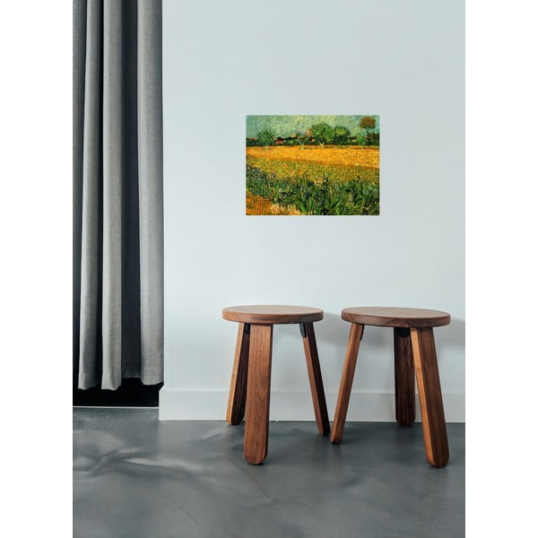 Riproduzione di Vincent van Gogh - Veduta di arles con iris in primo piano, 40 x 30 cm Vincent van Gogh - View of arles with irises in the foreground - Fedkolor-image-1