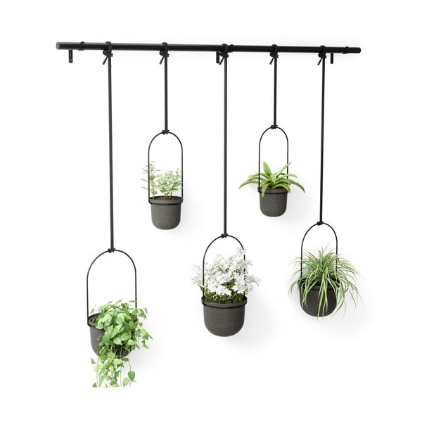 Set di coprivaso in plastica per erbe aromatiche/da appendere/parete 5 pz ø 7,5 cm Triflora – Umbra-image-4