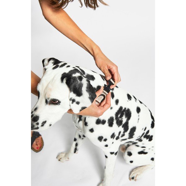 Colletto beige taglia S/M lunghezza 32 cm Modena Greige S/SM - MiaCara-image-2