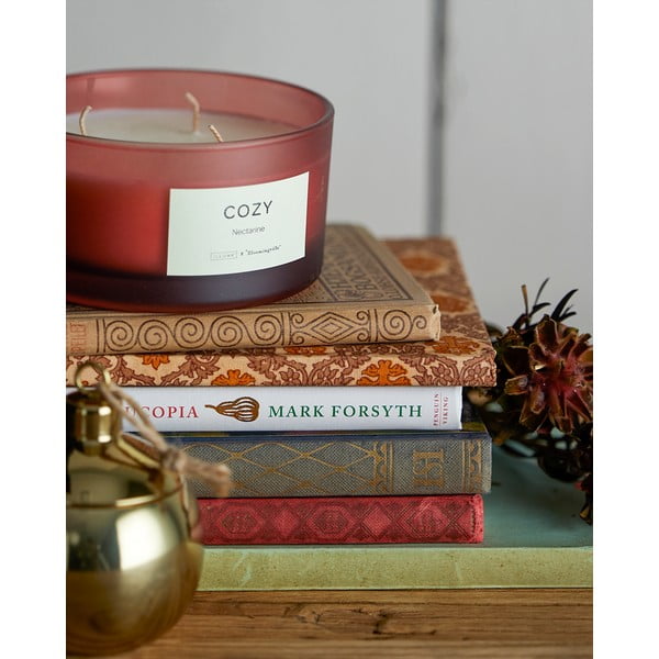 Candela profumata tempo di combustione 25 h Cozy Nectarine - ILLUME x Bloomingville-image-1