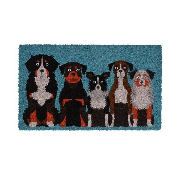 Zerbino in fibre di cocco 45x75 cm – Esschert Design