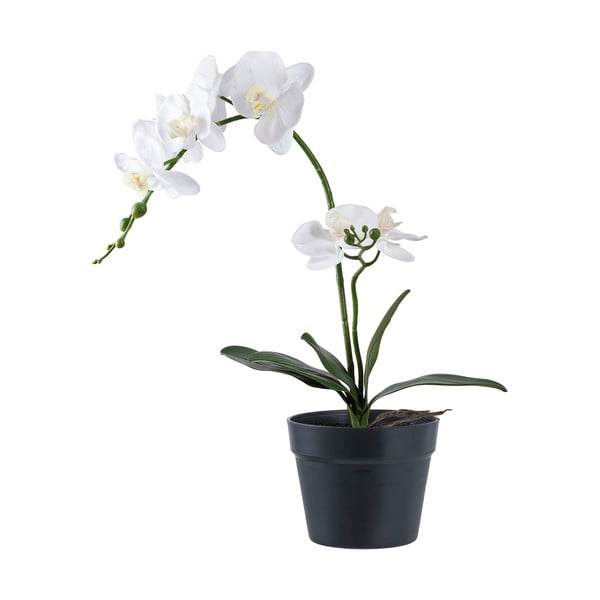 Fiore artificiale (altezza 47 cm) Orchid - House Nordic