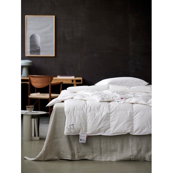 Cuscino con imbottitura in piume 50x60 cm The Ugly Duckling – Ringsted Dun-image-2