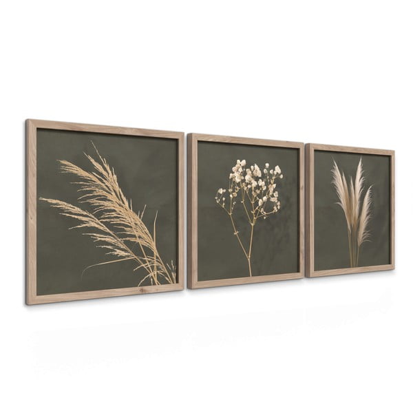 Set di dipinti 3 pz 30x30 cm Pampas – Styler-image-4