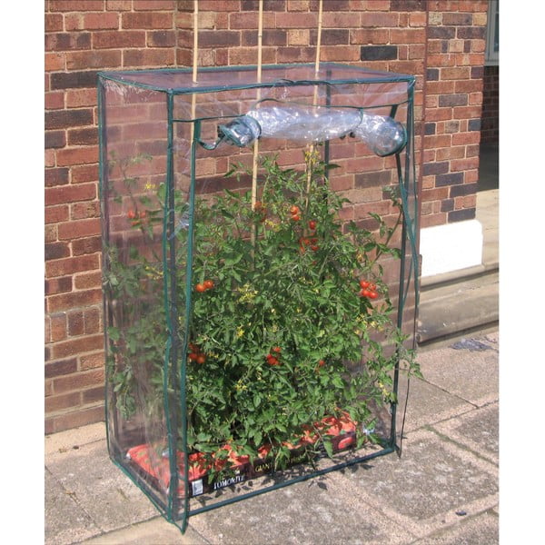 Serra per pomodori - Garden Pleasure-image-1