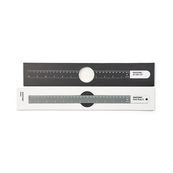 Righello Cool Gray 9 - Pantone-image-1