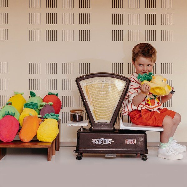 Peluche Flipetz 2in1 Nugget – Les Deglingos-image-1