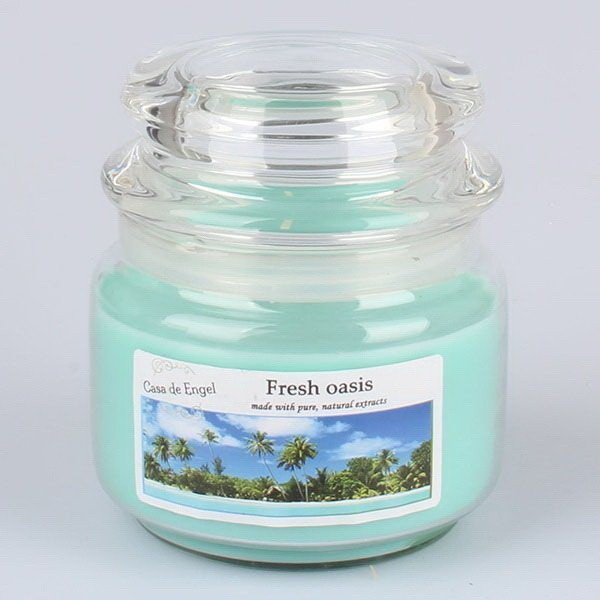 Candela profumata Oasis , 210 g - Dakls
