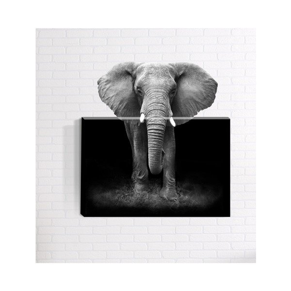 Nástěnný 3D obraz Mosticx Afrika, 40 x 60 cm