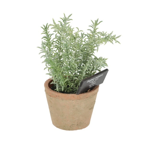 Pianta artificiale (altezza 21,5 cm) Thyme - Esschert Design-image-3