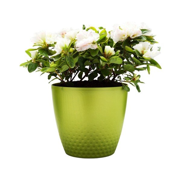Vaso verde Perla, ø 21,5 cm - Plastia-image-1