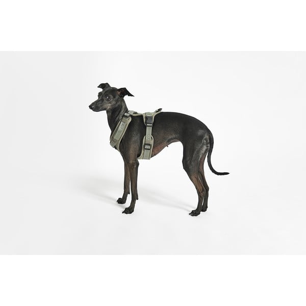 Pettorina verde taglia L lunghezza 42 cm Modena Grolive L - MiaCara-image-1