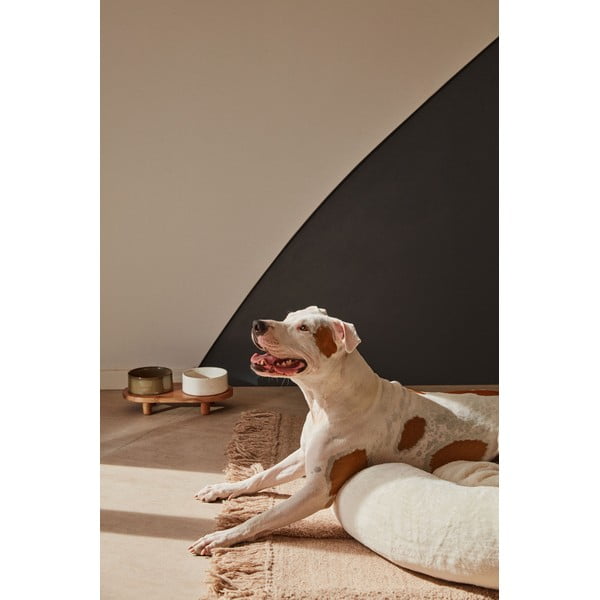 Set di 2 ciotole in ceramica per cani Dumbi - Kave Home-image-4