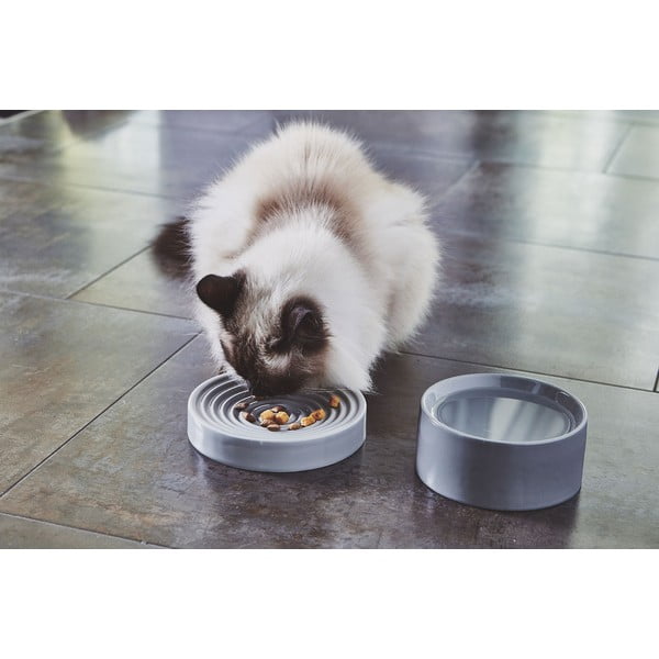 Ciotola anti ingozzamento in porcellana per gatti ø 16 cm Piatto Concrete S - MiaCara-image-3