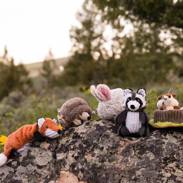 Set regalo Amici della foresta 5 pezzi - P.L.A.Y.-image-1