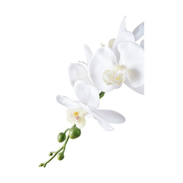 Fiore artificiale (altezza 47 cm) Orchid - House Nordic-image-2