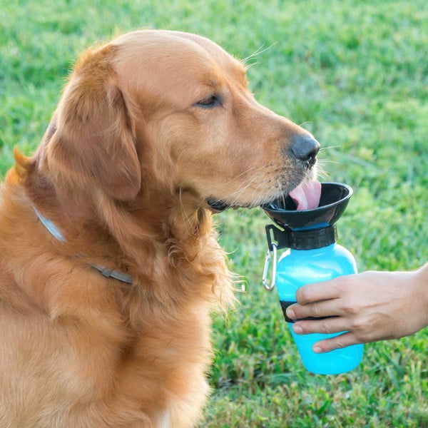 Borraccia da viaggio per cani - InnovaGoods-image-1