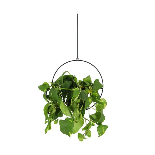 Portavaso appeso in metallo Planter - Esschert Design-image-1