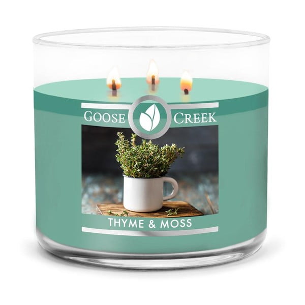 Candela profumata in scatola, 35 ore di combustione Thyme & Moss - Goose Creek