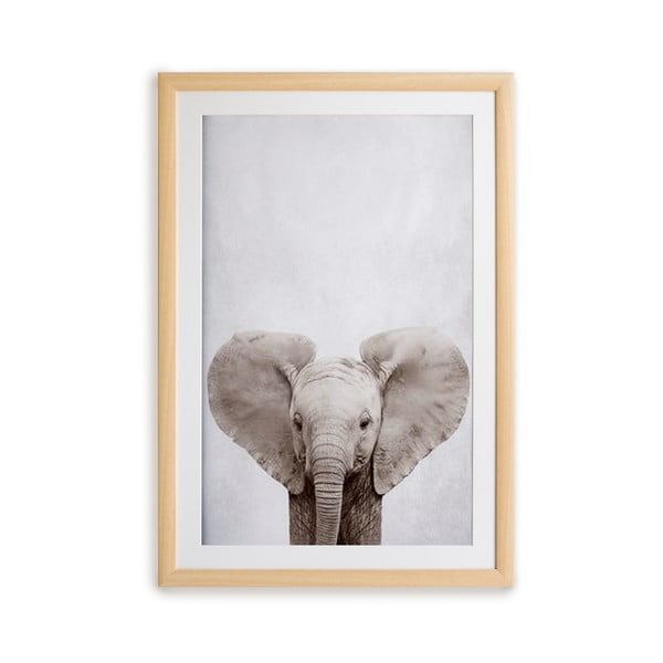 Quadro murale in cornice Elefante, 30 x 40 cm - Surdic