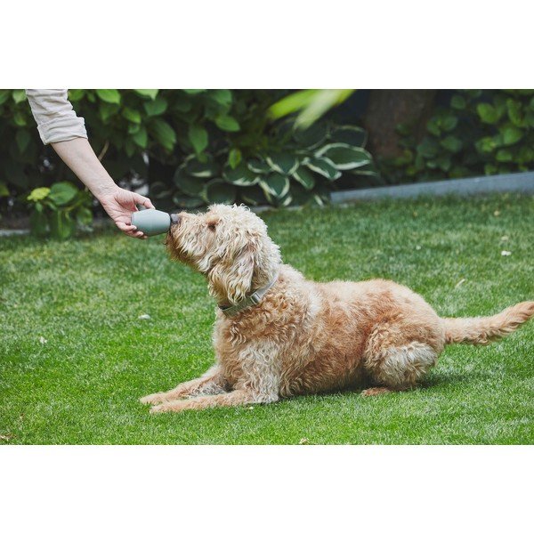 Giocattolo per cani Cono Sage - MiaCara-image-3
